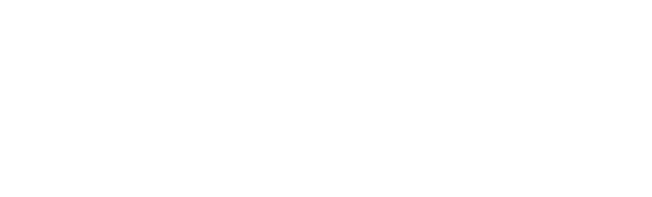 TOP GUN BOXING